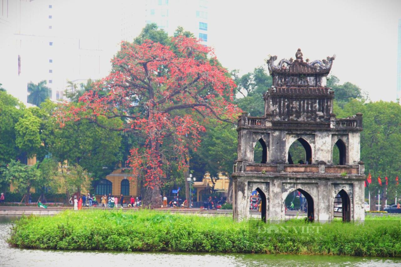 Bong Ha Noi Hostel Hanoi Dış mekan fotoğraf